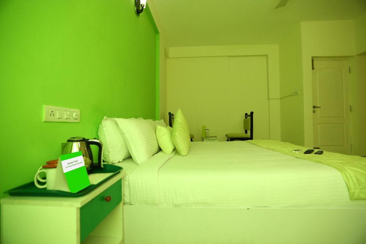 Green Tree Apartment South Boag Road Chennai Esterno foto